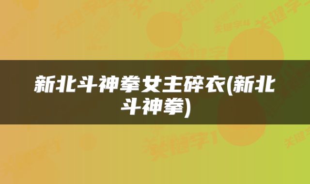 新北斗神拳女主碎衣(新北斗神拳)