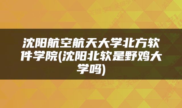 沈阳航空航天大学北方软件学院(沈阳北软是野鸡大学吗)