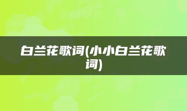 白兰花歌词(小小白兰花歌词)