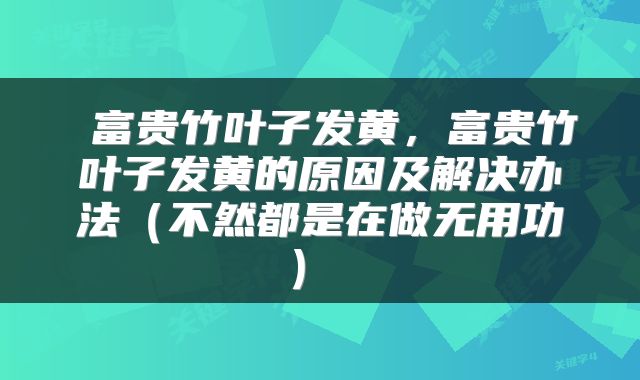  富贵竹叶子发黄，富贵竹叶子发黄的原因及解决办法（不然都是在做无用功） 