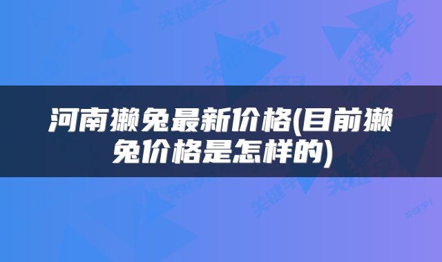 河南獭兔最新价格(目前獭兔价格是怎样的)