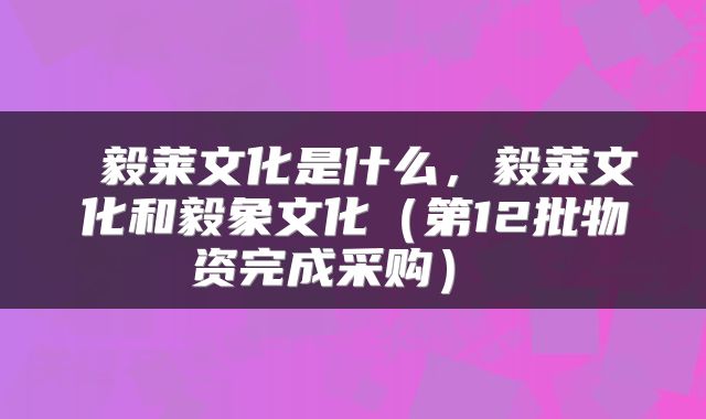 毅莱文化是什么,毅莱文化和毅象文化(第12批物资完成采购)