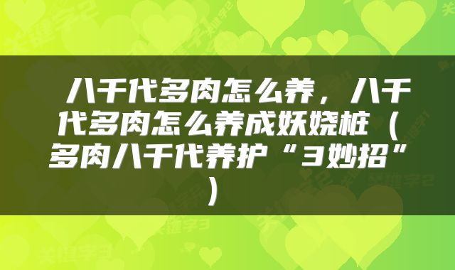 八千代多肉怎么养,八千代多肉怎么养成妖娆桩(多肉八千代养护“3妙招”)