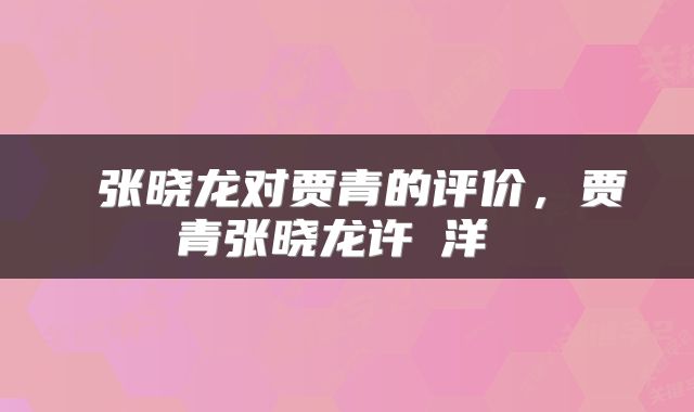 张晓龙对贾青的评价,贾青张晓龙许紹洋