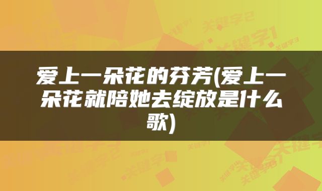 爱上一朵花的芬芳(爱上一朵花就陪她去绽放是什么歌)