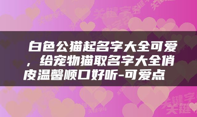 白色公猫起名字大全可爱,给宠物猫取名字大全俏皮温馨顺口好听-可爱点