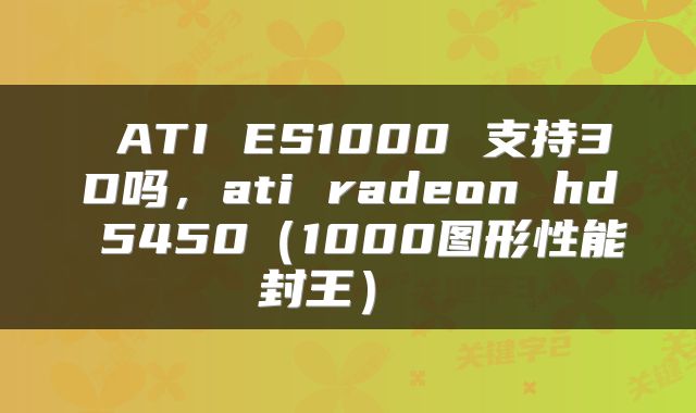 ATI ES1000 支持3D吗,ati radeon hd 5450(1000图形性能封王)